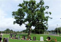 Kings Norton Cemetery Birmingham